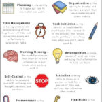 Executive Functioning Activity Worksheets Free Download Goodimg co