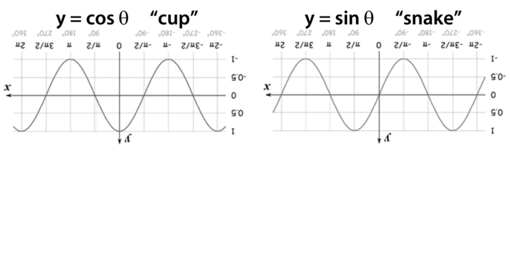 Graphs Of Sine And Cosine Foldable pdf Graphing Foldables Math