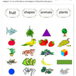 Grouping Into Categories Worksheet By Teach Simple