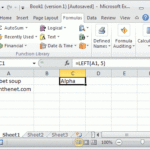 MS Excel How To Use The LEFT Function WS VBA