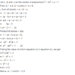 NCERT Solutions For Class 10 Maths Chapter 2 Polynomials Ex 2 4 NCERT SOLUTIONS