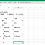 Tips On Excel Simple Functions That Can Help You With Your