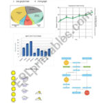 Types Of Graphs ESL Worksheet By Misha87