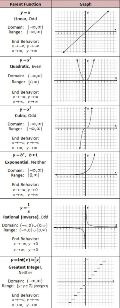 Unit 3 Linear And Exponential Functions Worksheet Function Worksheets